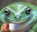 frog drinking coffee.jpg