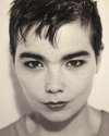 Björk6.jpg