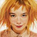 Björk5.jpg