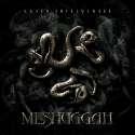 Meshuggah - Catch 33 front1.jpg