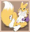 0013_1440200735.firefly8083_renamon_rs.png