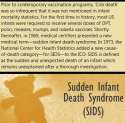 vaccines sids cot death.jpg