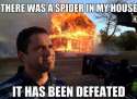 230894-There+was+a+spider+in+my+house.jpg