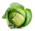 cabbage-03.jpg