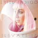 FINAL_ERIEL-INDIGO_ELEVATE-EP-COVER_3000X3000-min.jpg