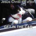 618px-Jesus_Christ_it's_a_lion_Get_In_The_Car!.jpg