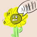 sun flower.png