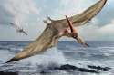 pteranodonSD.jpg