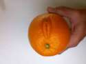 orangecancer.jpg