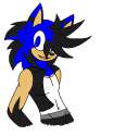 ricky_the_hedgehog_by_barbara_the_hedgecat-d5f4jfg.png