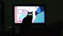 Kitty TV.jpg