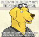 7512519d-the-key-to-happiness-according-to-mr-peanutbutter.jpg