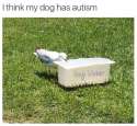Autism.jpg