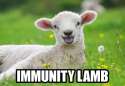 immunity lamb.jpg
