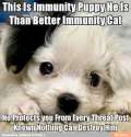 immunity puppy.jpg