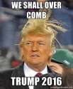 we-shall-over-comb-tump-2016.jpg