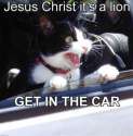 450px-Jesus_Christ_it's_a_lion_Get_In_The_Car!.jpg