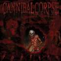 Cannibal-Corpse-Torture-Artwork1_BINARY_132106.jpg
