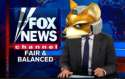 melee fox news.jpg
