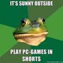 frog sunny.jpg