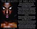 melanin theory.jpg