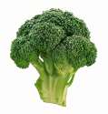broccoli (1).jpg