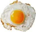 fried egg.png