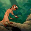 timon.gif-c200.gif