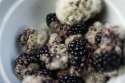 blackberries-mold.jpg