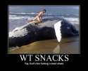 wt_snacks_dead_whale.jpg