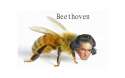 Beethoven_831740_5164934.png