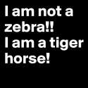 I-am-not-a-zebra-I-am-a-tiger-horse.jpg