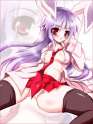 animal_ears bad_id bunny_ears female footwear long_hair no_panties nude purple_hair satou_kuroon skirt socks touhou-5eca91edcdc84cd46f9b9696b5976996.png