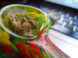 yummy-bud-bowls-smoke-medical-marijuana-thcfinder.jpg
