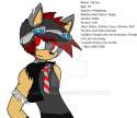 tanner_the_hedgehog_by_luckynoble-d8br9mq.png
