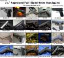 approved handguns.jpg