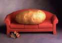 couch_potato_2047051.jpg