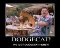 we got dodgecat.png