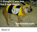 u-thought-it-was-bee-but-it-was-doggo-bumboozled-2489112.png