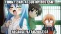 Flat is justice.jpg
