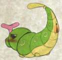 Caterpie (2).png
