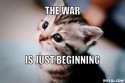 cute-kitten-meme-generator-the-war-is-just-beginning-56c083.jpg
