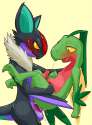 hollonut-noivern-and-grovyle.png