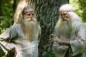 Hippie Rabbis.jpg