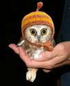 baby-owl-knitted-beanie.jpg