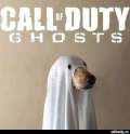 call-of-duty-ghosts.jpg