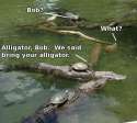 alligator Bob.jpg