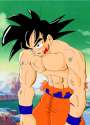 injured_son_goku_color_proto_by_haseowolf.jpg