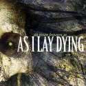 as_i_lay_dying__an_ocean_between_us_album_cover_by_decwood-d5k715z.jpg