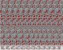 Stereogram5.png